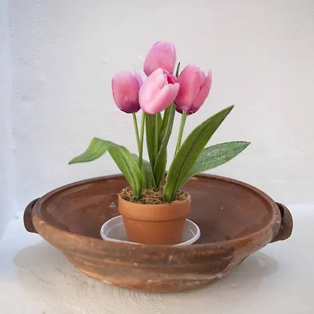 - Il Tempone 3* Prignano Cilento