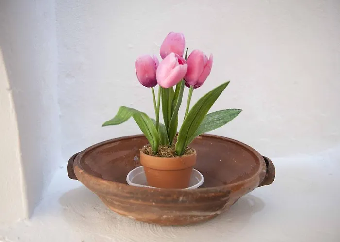 - Il Tempone 3* Prignano Cilento